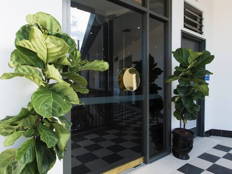 Brisbane Plastic & Cosmetic Surgery
